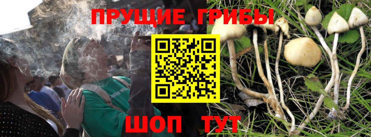 Узловая  Псилоцибиновые грибы ЛСД  Галлюциногенные грибы прущие грибы  Вход с VPN 